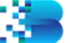壁仞科技 Logo