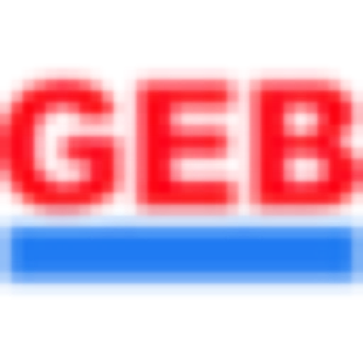 金帝股份 Logo