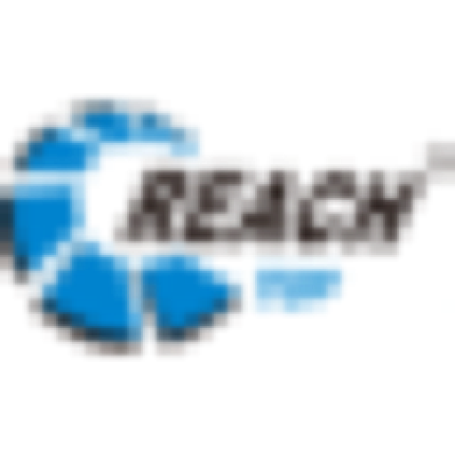 瑞迪智驱 Logo